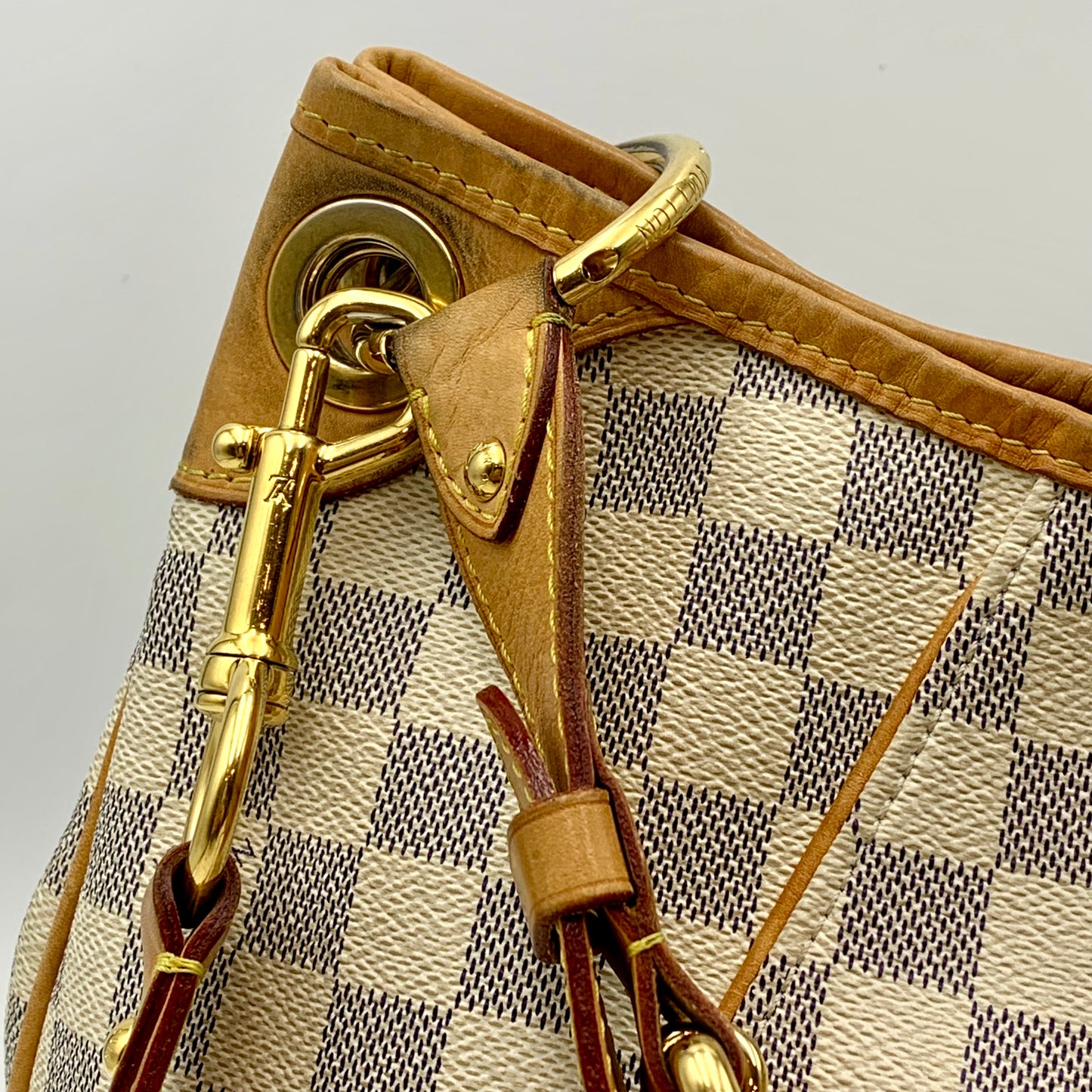 Louis Vuitton Galliera Damien Azur PM Bag
