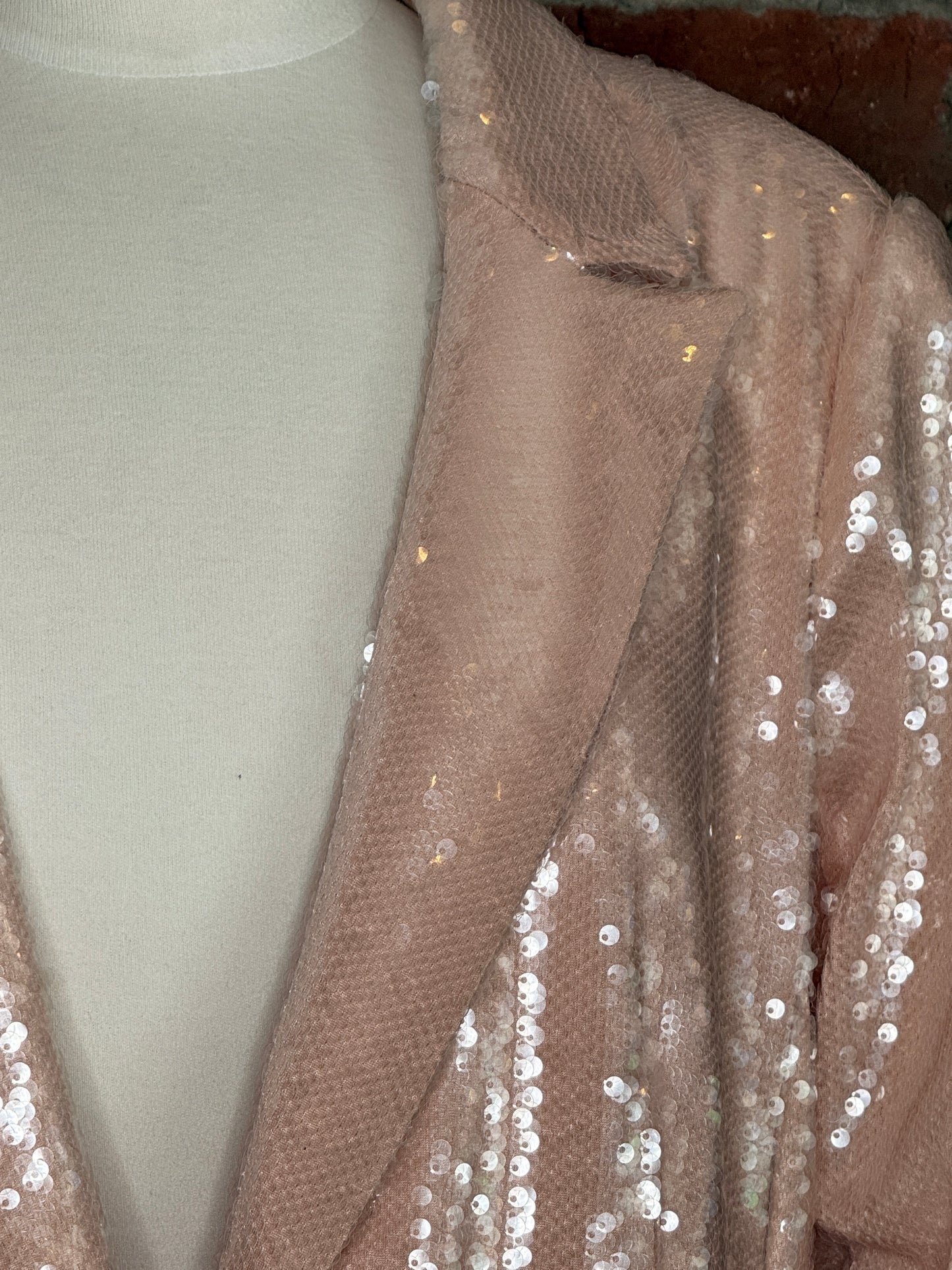 NWT Cinq a Sept Kimmi Blazer | SZ 10