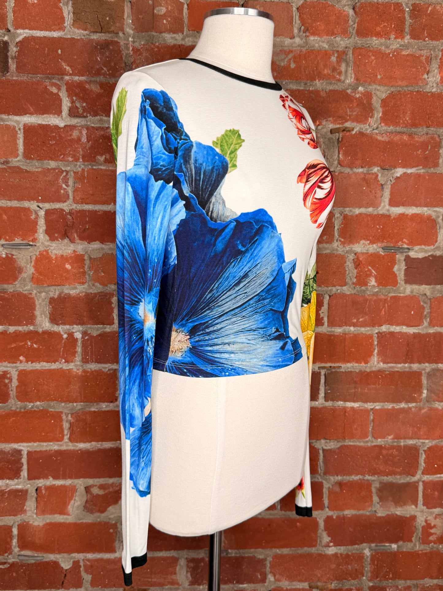 Alice + Olivia By Stacey Bendet Delania Long Sleeve Top