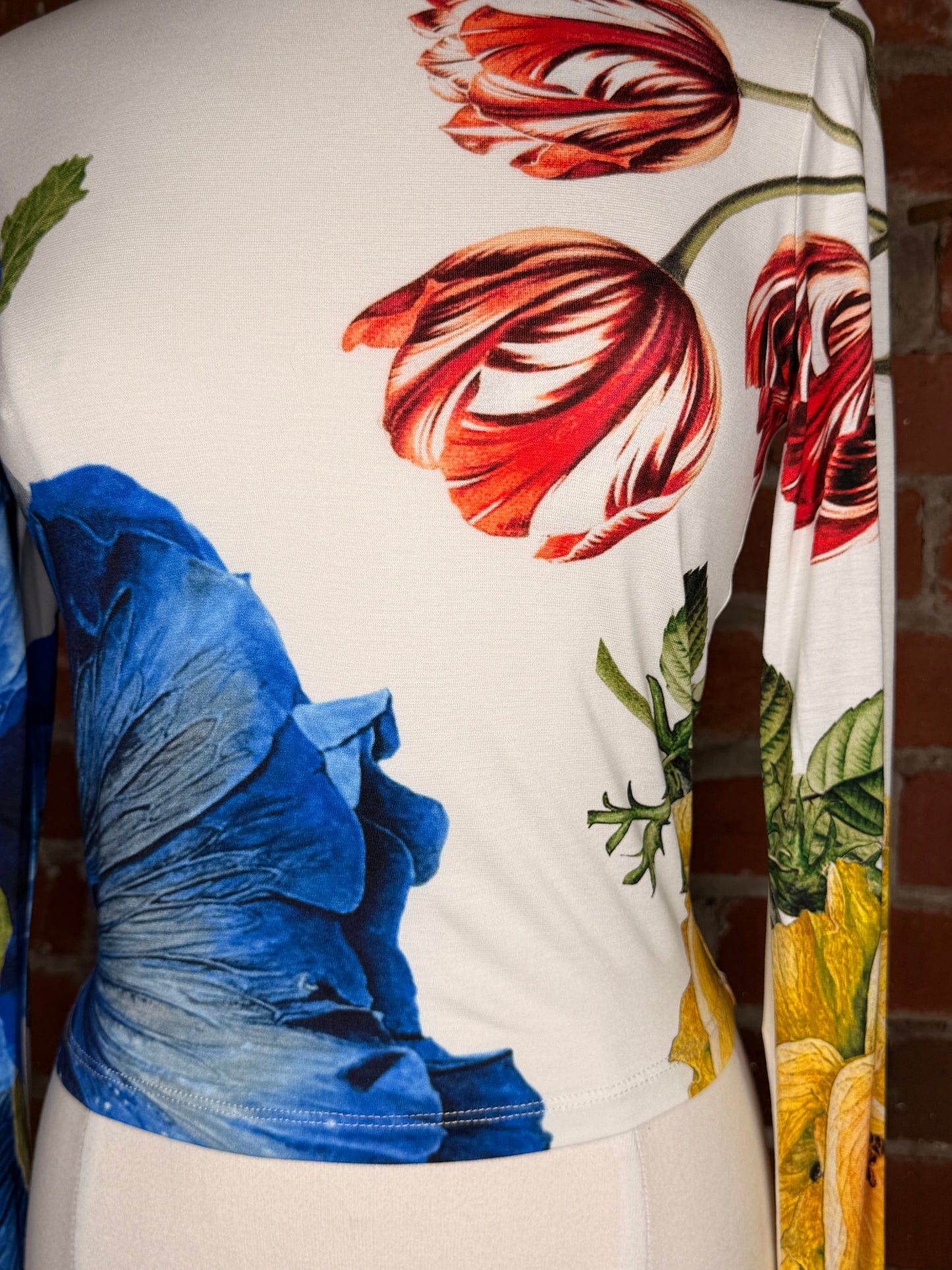 Alice + Olivia By Stacey Bendet Delania Long Sleeve Top