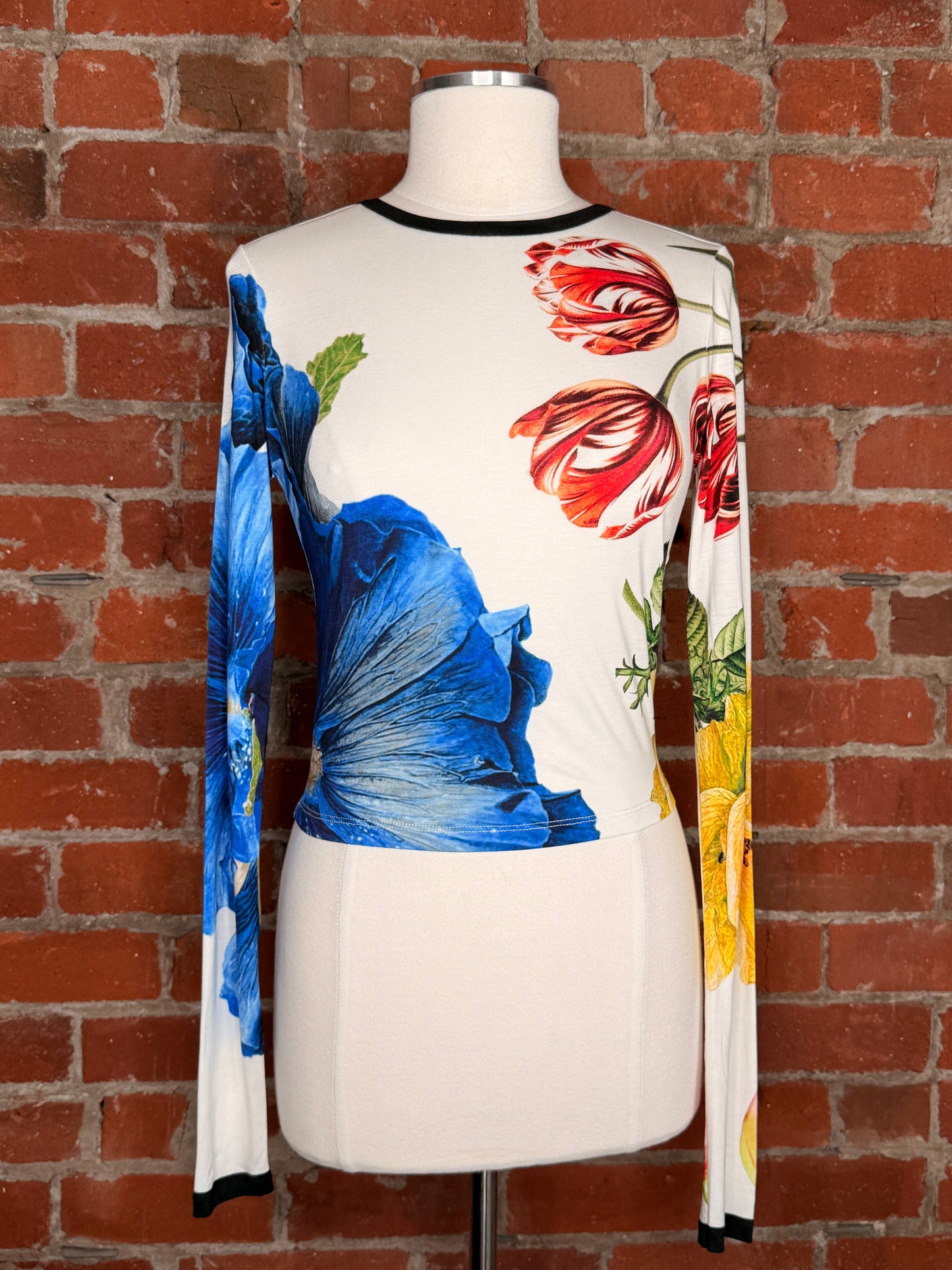 Alice + Olivia By Stacey Bendet Delania Long Sleeve Top