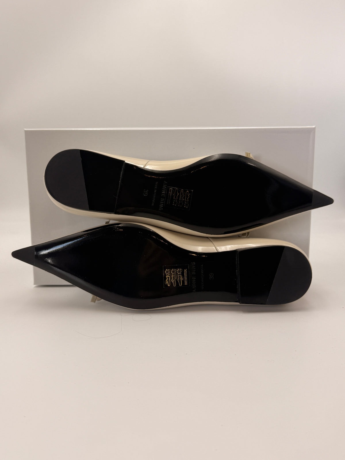 NIB Anine Bing Hilda Ballet Flats | SZ 39