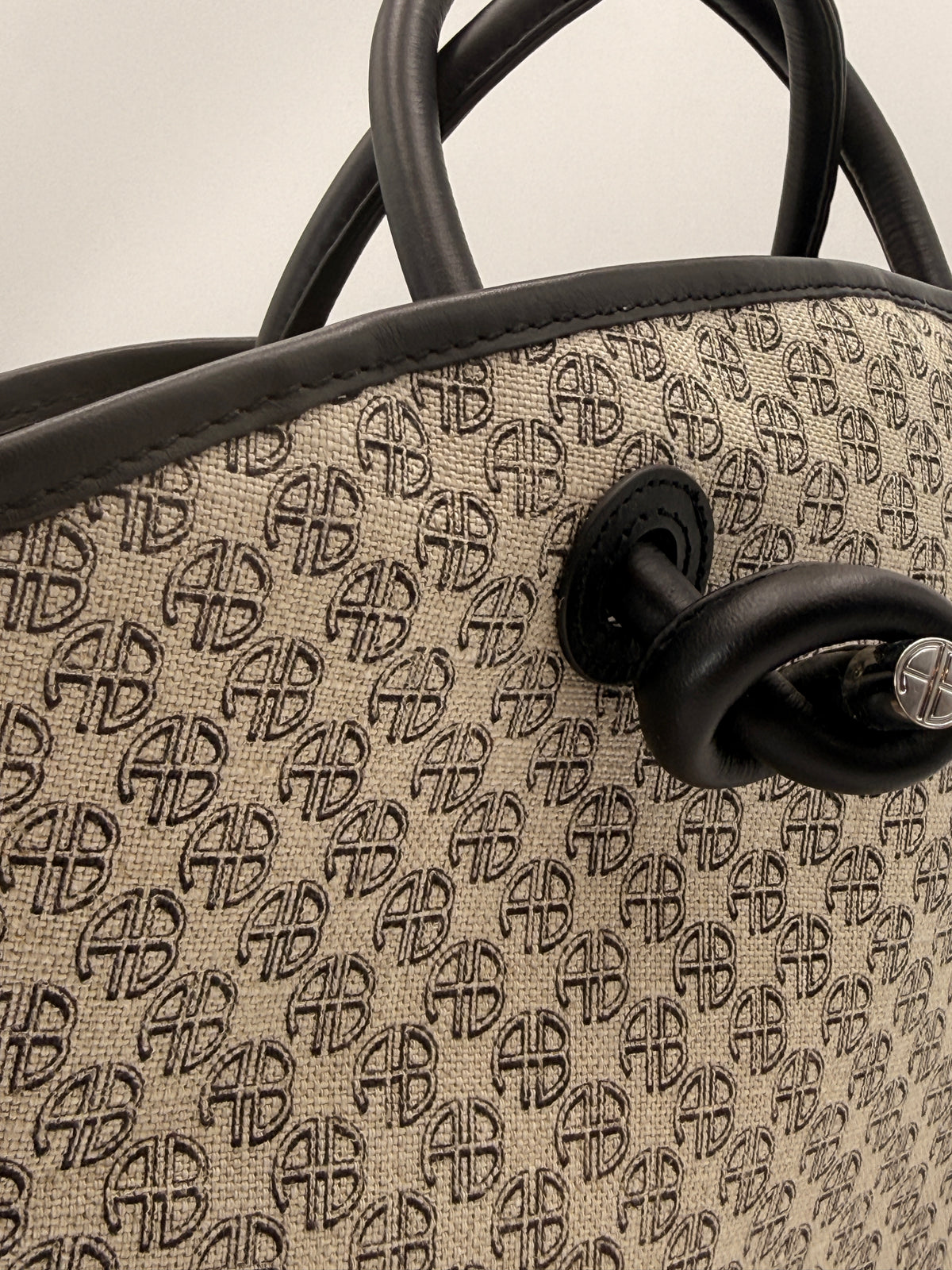 Anine Bing Mini Taylin Monogram Tote