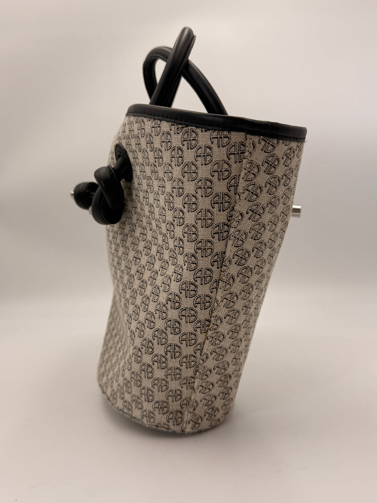 Anine Bing Mini Taylin Monogram Tote