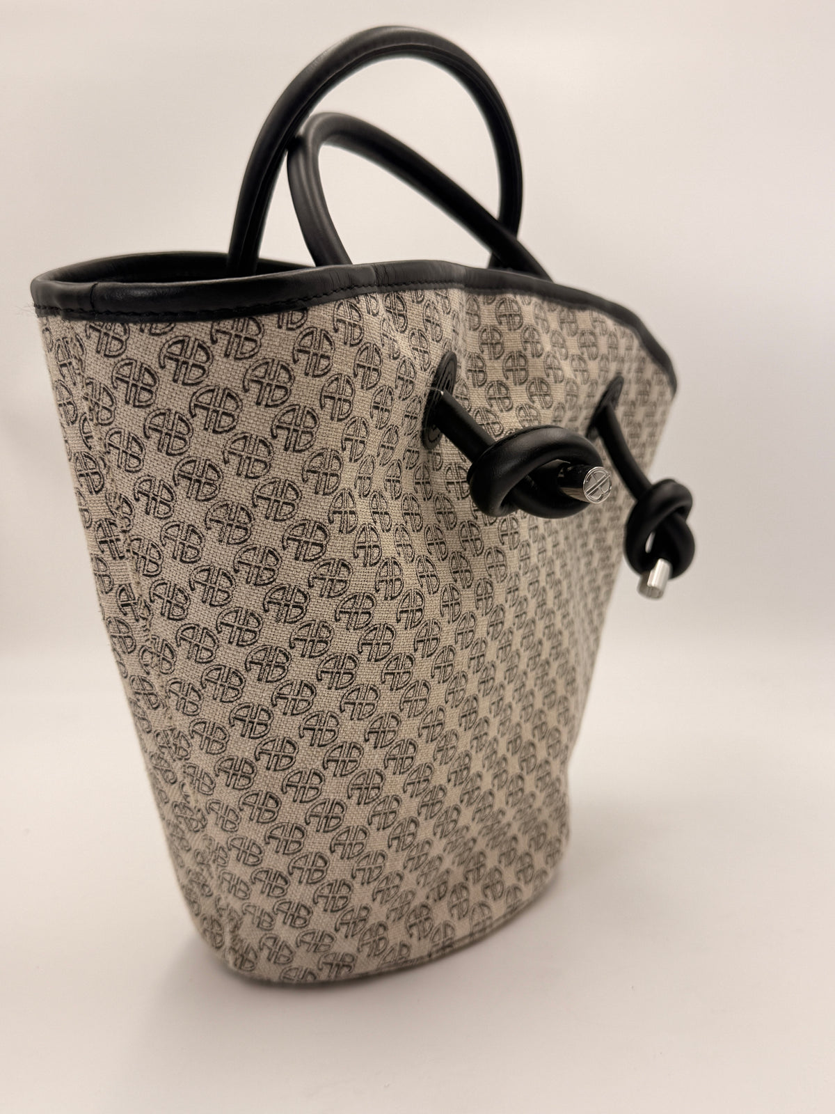 Anine Bing Mini Taylin Monogram Tote