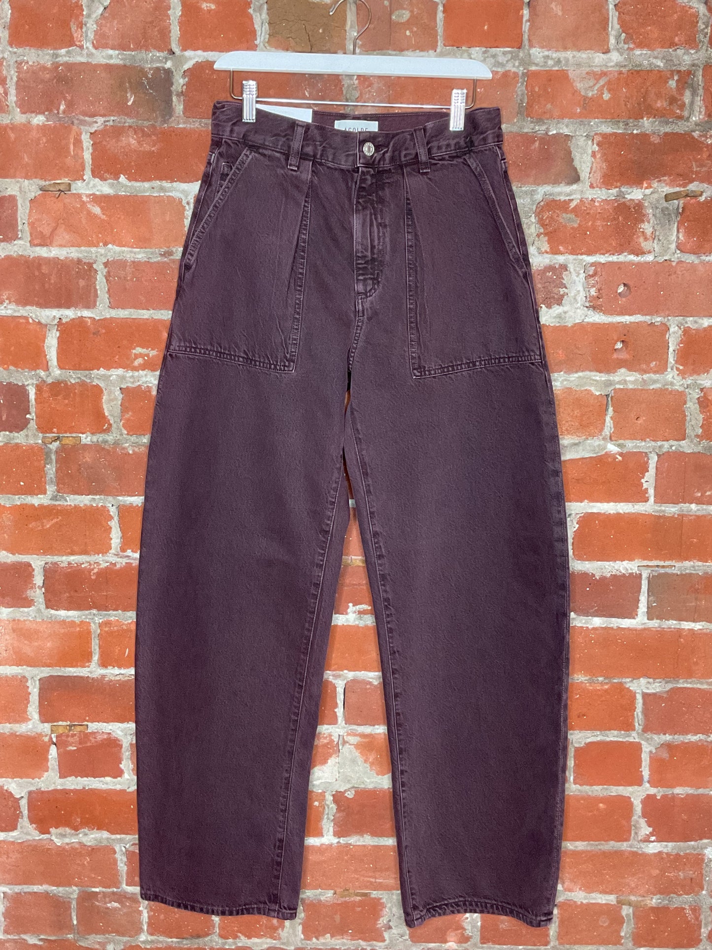 NWT Agolde Sefton Utility Pant | SZ 25