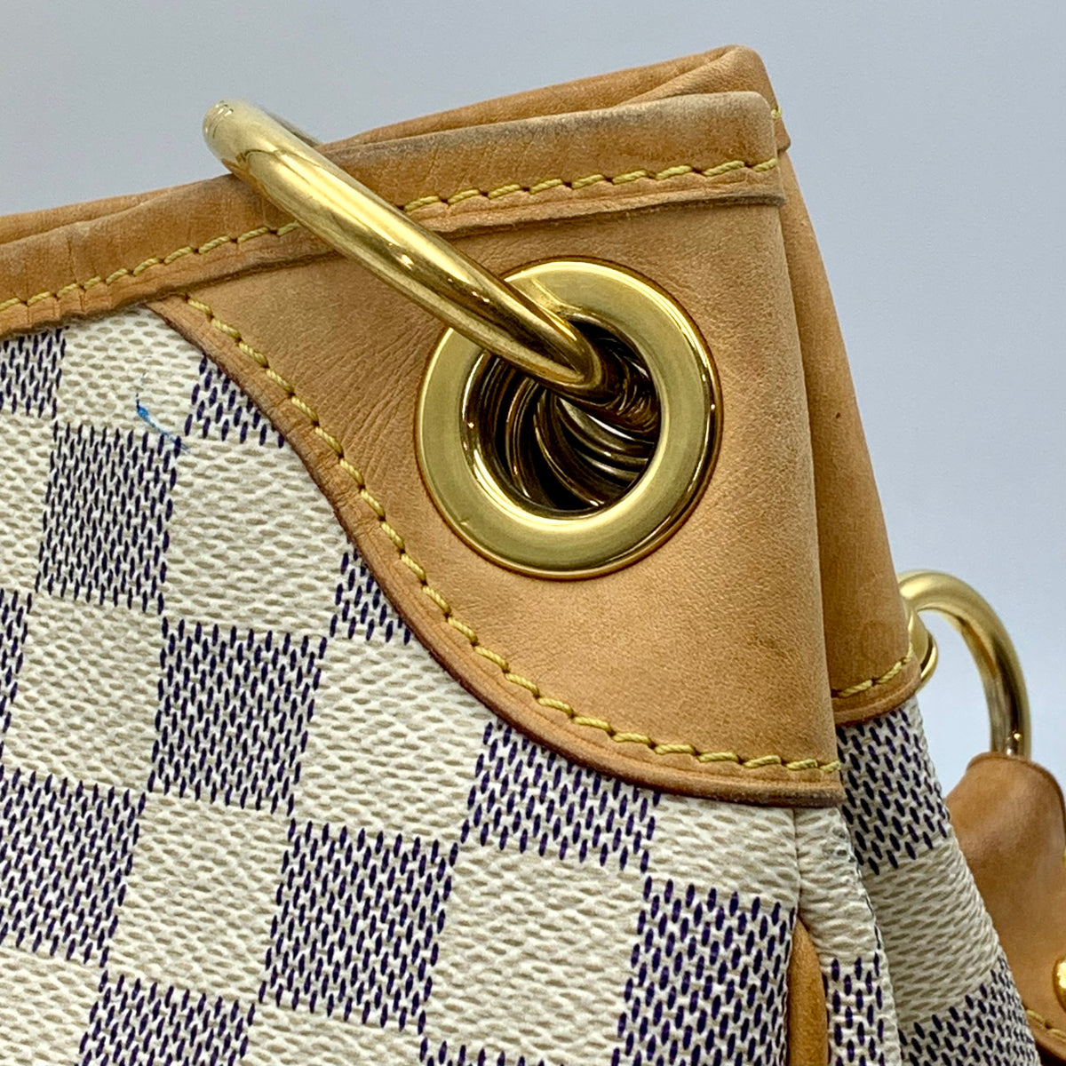 Louis Vuitton Galliera Damien Azur PM Bag