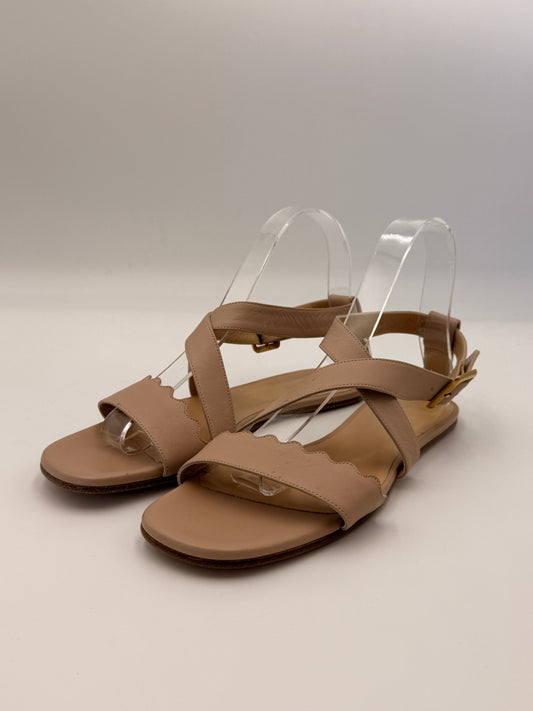 Chloe Scalloped Crisscross Sandals | SZ 38.5