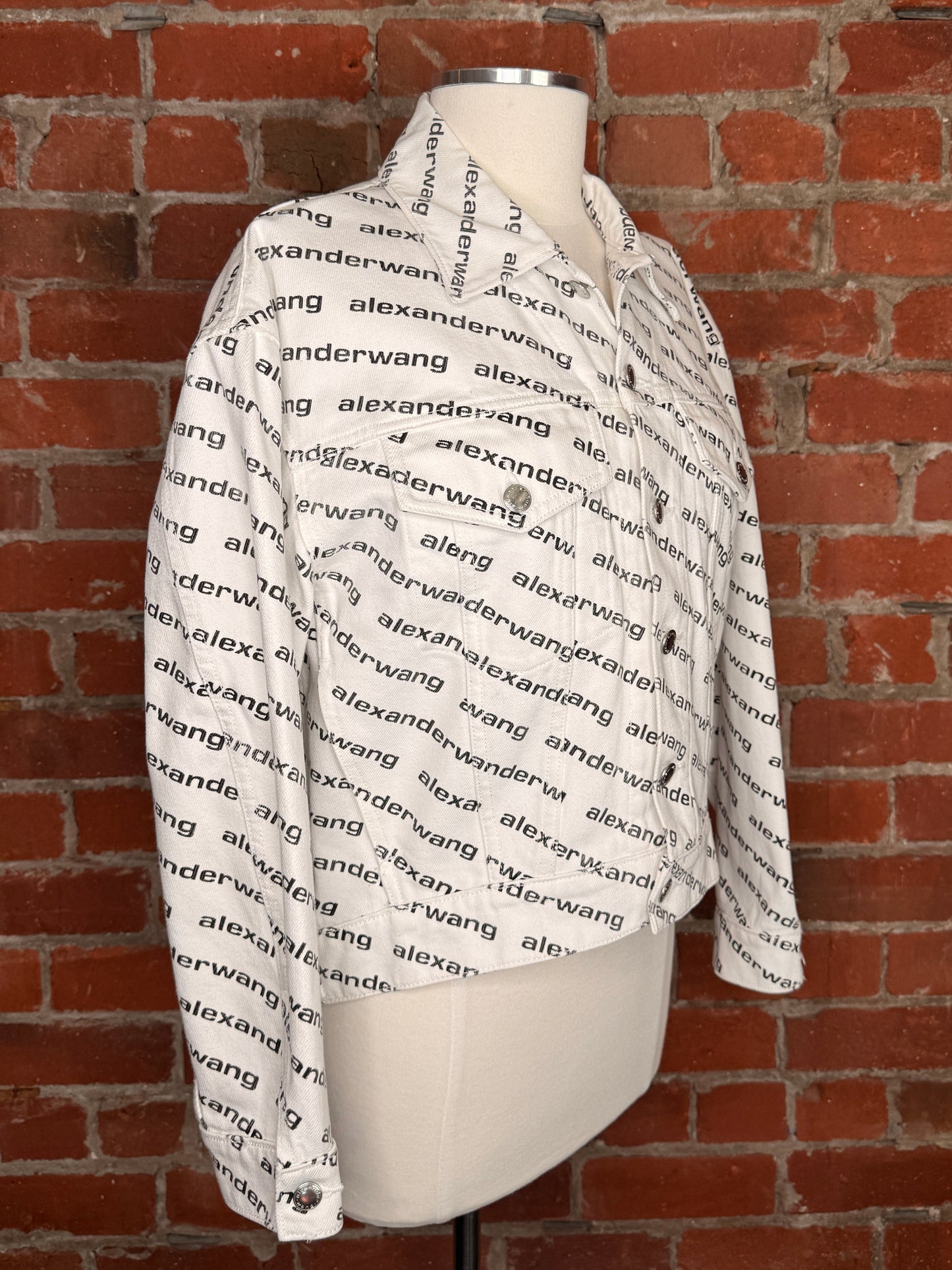 Alexander Wang Falling Back Logo Jacket | SZ XS