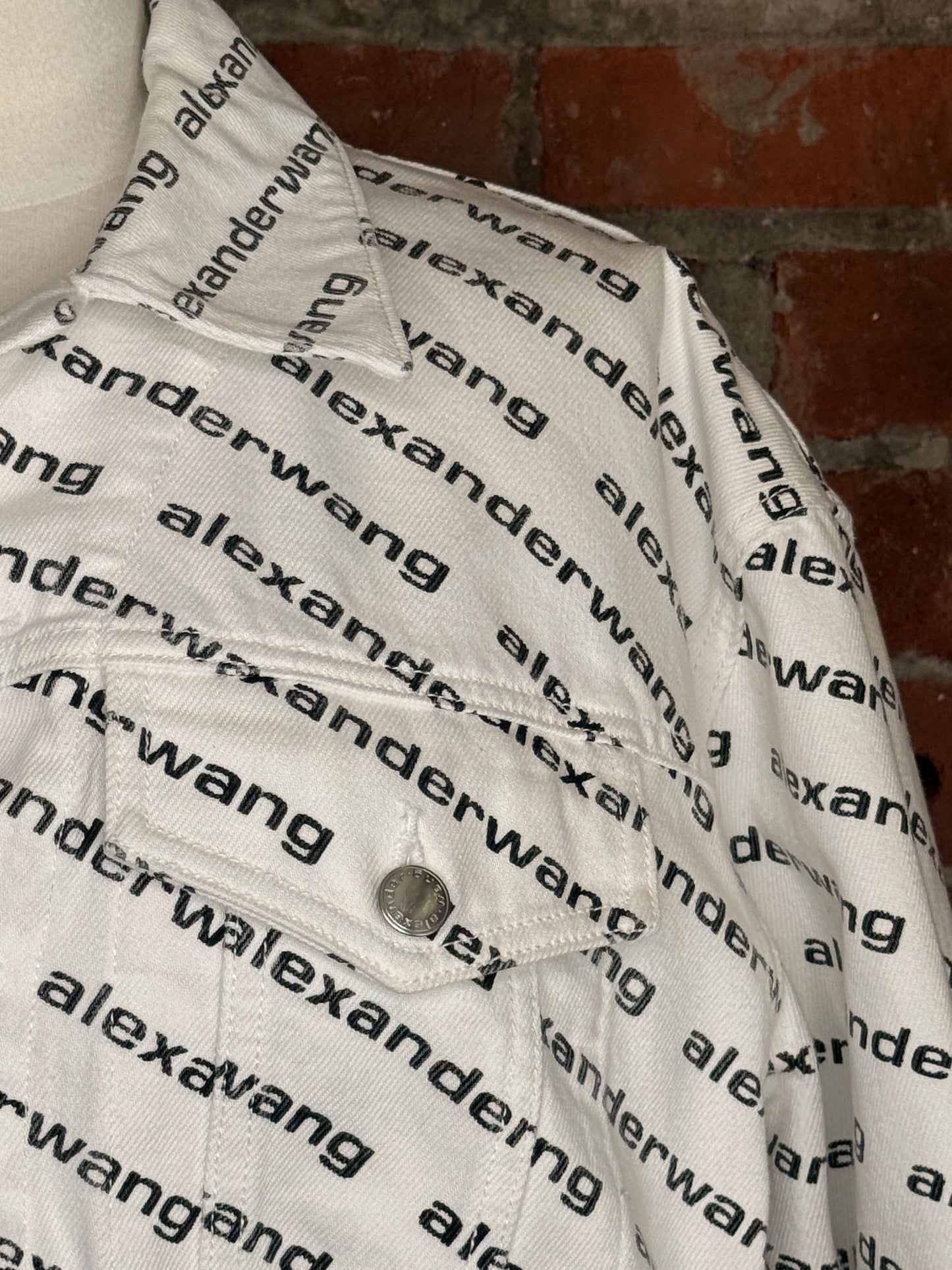 Alexander Wang Falling Back Logo Jacket | SZ XS