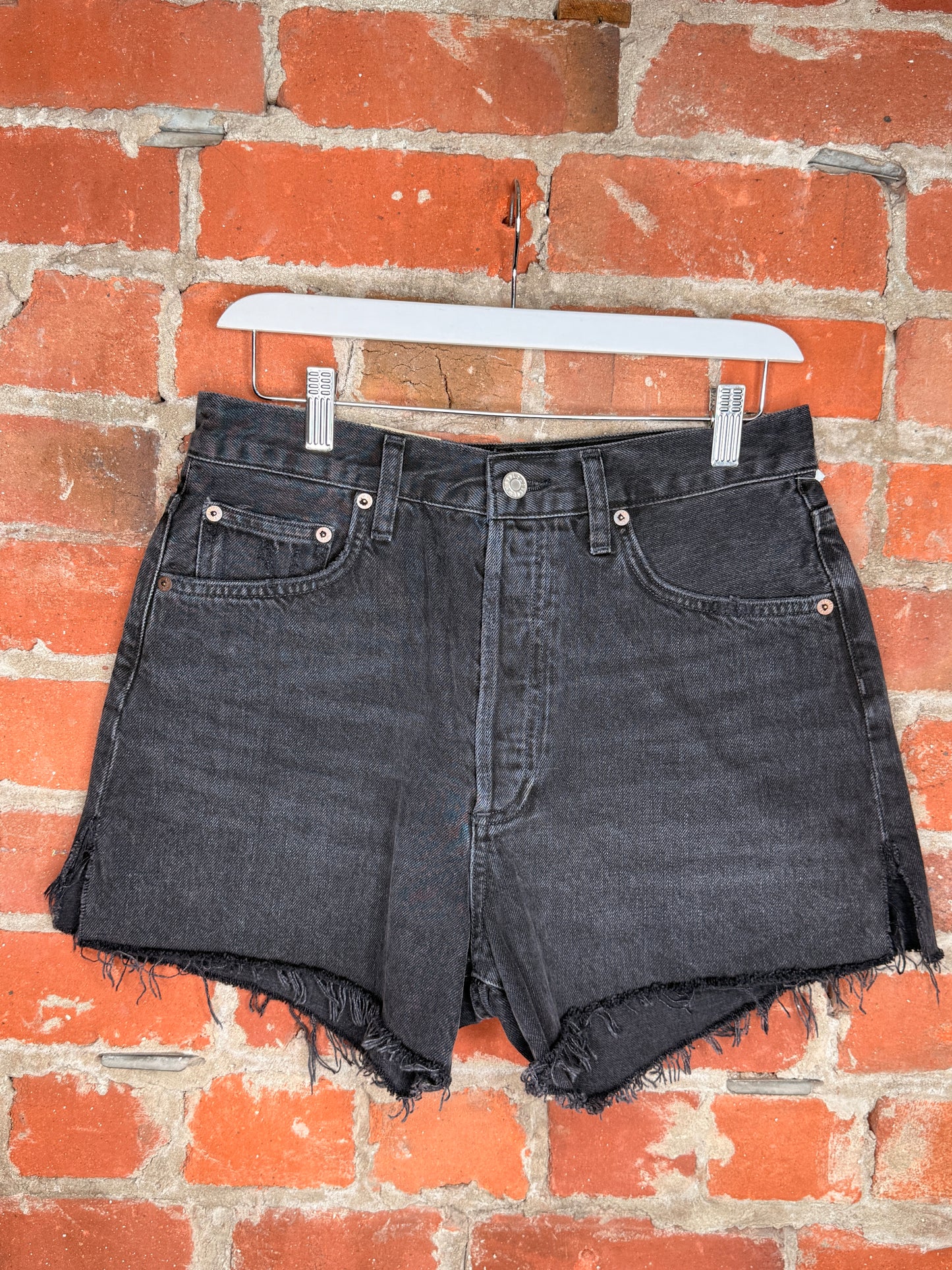 NWT Agolde Dee Short | SZ 28