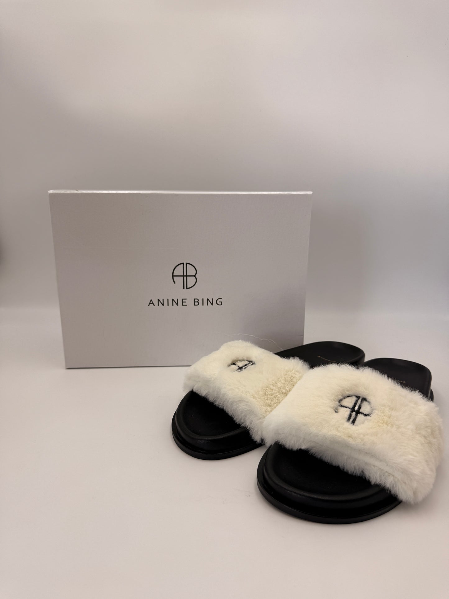 NIB Anine Bing Britt Slides | SZ 39