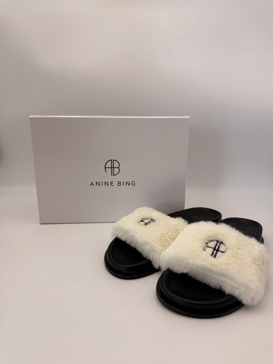 NIB Anine Bing Britt Slides | SZ 39