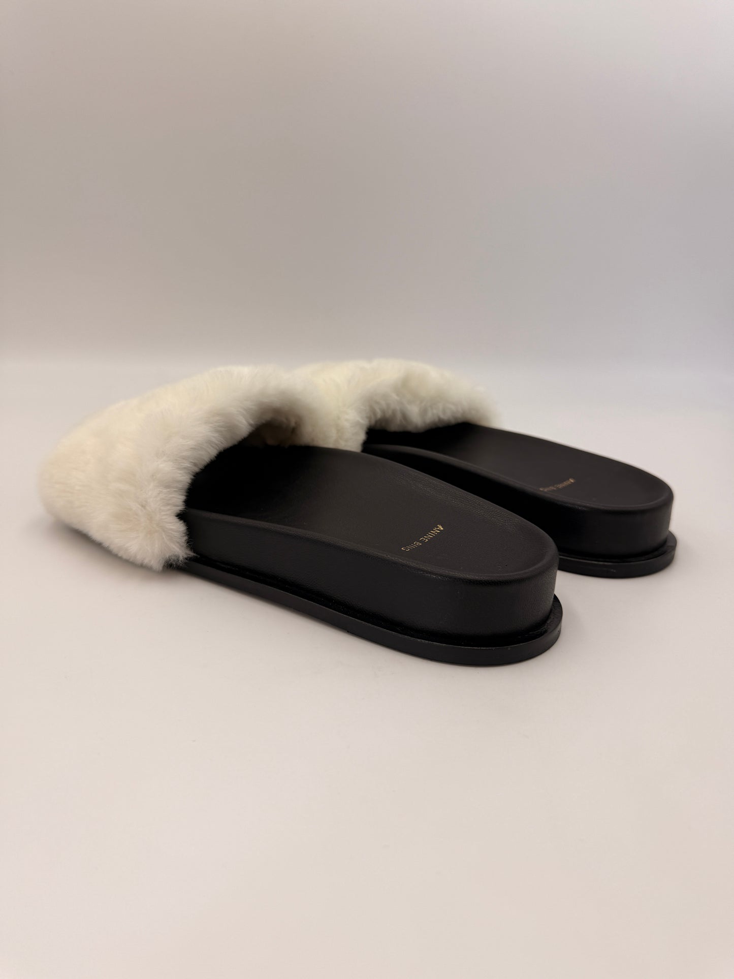 NIB Anine Bing Britt Slides | SZ 39