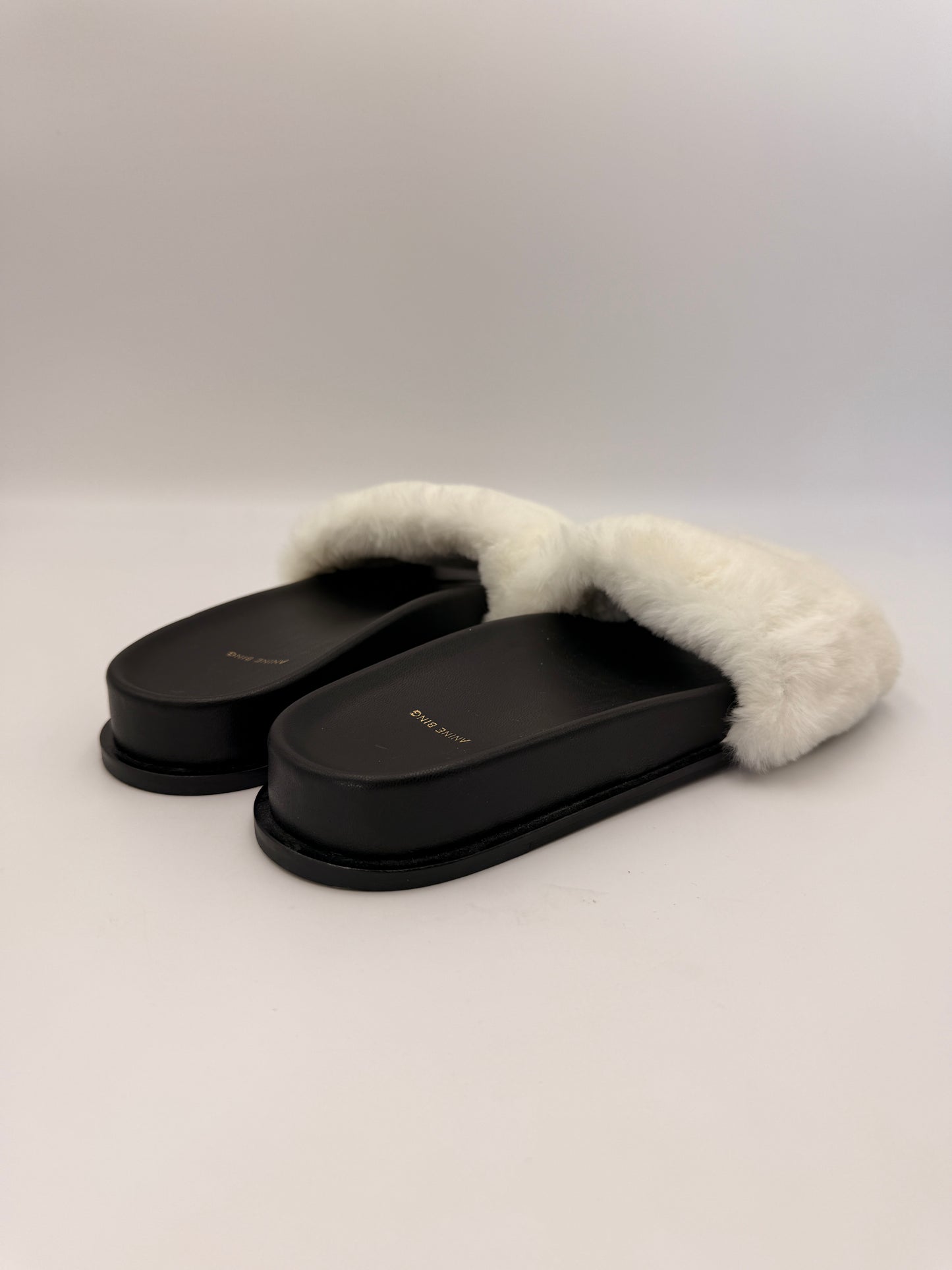 NIB Anine Bing Britt Slides | SZ 39